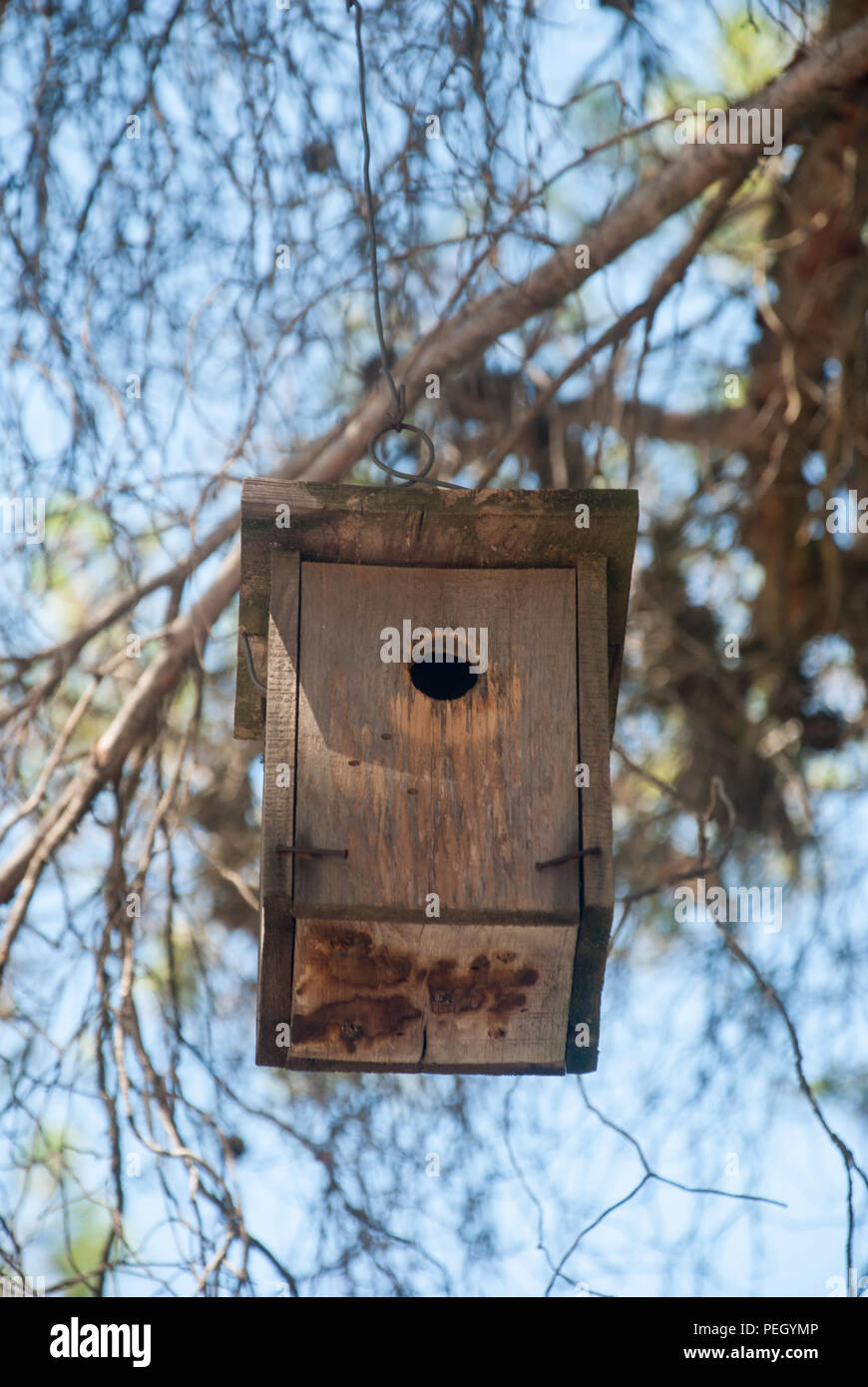Holz- Vogelnest auf einem Baum gehängt Stockfoto