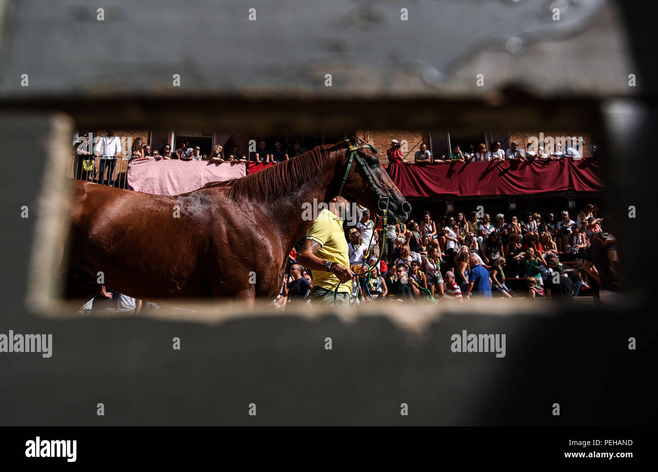 Siena, Italien. 15 Aug, 2018. Ein Pferd ist von einem Bräutigam während des dritten Tages Testversion der Pferderennen in Siena, Italien, 15. August 2018 begleitet. Eine traditionelle Pferderennen "Palio di Siena" in Italienisch, ist in der italienischen Stadt Siena statt und zieht Tausende von Zuschauern. Das Pferderennen in Siena stammt aus dem Mittelalter und ist am 2. Juli und 16. August jedes Jahr abgehalten. Drei-tägigen Studien werden vor dem letzten Rennen statt. Credit: Jin Yu/Xinhua/Alamy leben Nachrichten Stockfoto