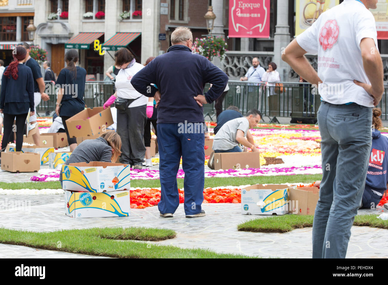 Brüssel, Belgien. 16. Aug 2018. Alle 2 Jahre die Grand-Place in Brüssel ist mit einer Blume Teppich bedeckt. Das Thema 2018 ist Mexiko die Blume Teppich zu Guanajuato einen mexikanischen Region gewidmet ist. Credit: Steven roe/Alamy leben Nachrichten Stockfoto