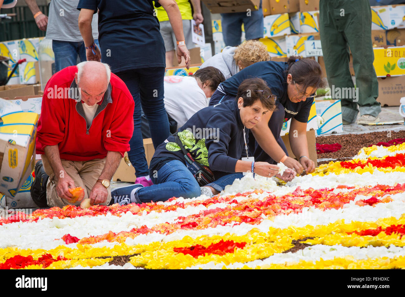 Brüssel, Belgien. 16. Aug 2018. Alle 2 Jahre die Grand-Place in Brüssel ist mit einer Blume Teppich bedeckt. Das Thema 2018 ist Mexiko die Blume Teppich zu Guanajuato einen mexikanischen Region gewidmet ist. Credit: Steven roe/Alamy leben Nachrichten Stockfoto