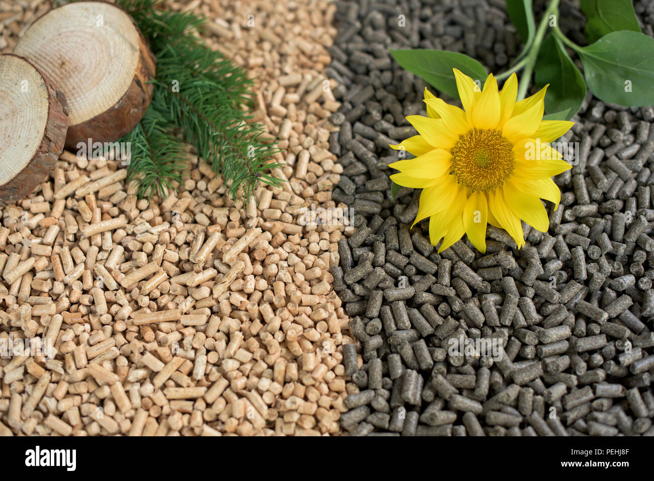 Erneuerbare Energie Materialien und pellets - aus Sonnenblumen und Kiefer Stockfoto