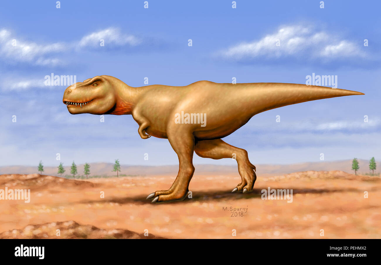Tyrannosaurier tyrannosaurus rex -Fotos und -Bildmaterial in hoher
