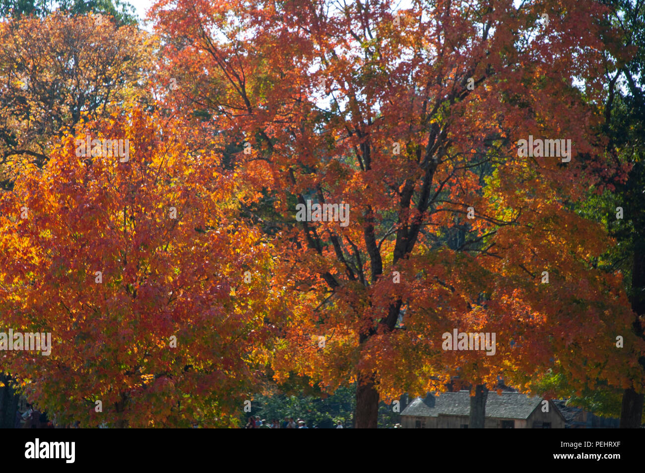 Herbst in New England ist voller Farbe und Erwartung der kälteren Tage im Voraus. Stockfoto