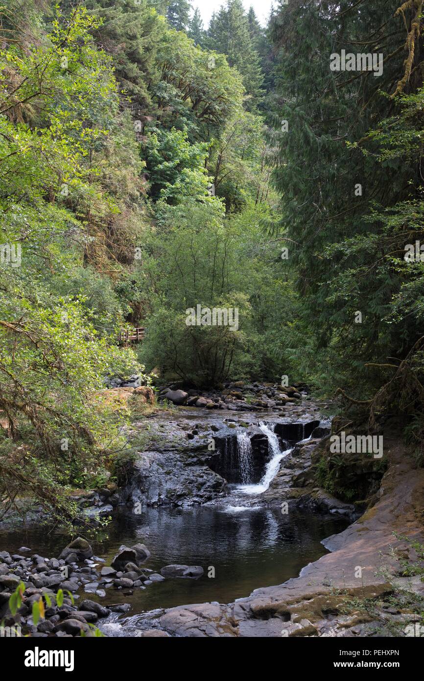 Ein Wasserfall im Sweet Creek in der Nähe von Mapleton, Oregon, USA. Stockfoto