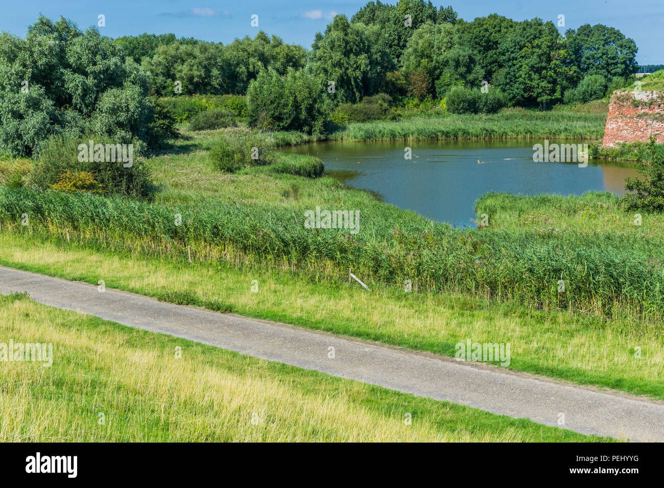 Weg zum teich Fotos und Bildmaterial in hoher Auflösung Alamy