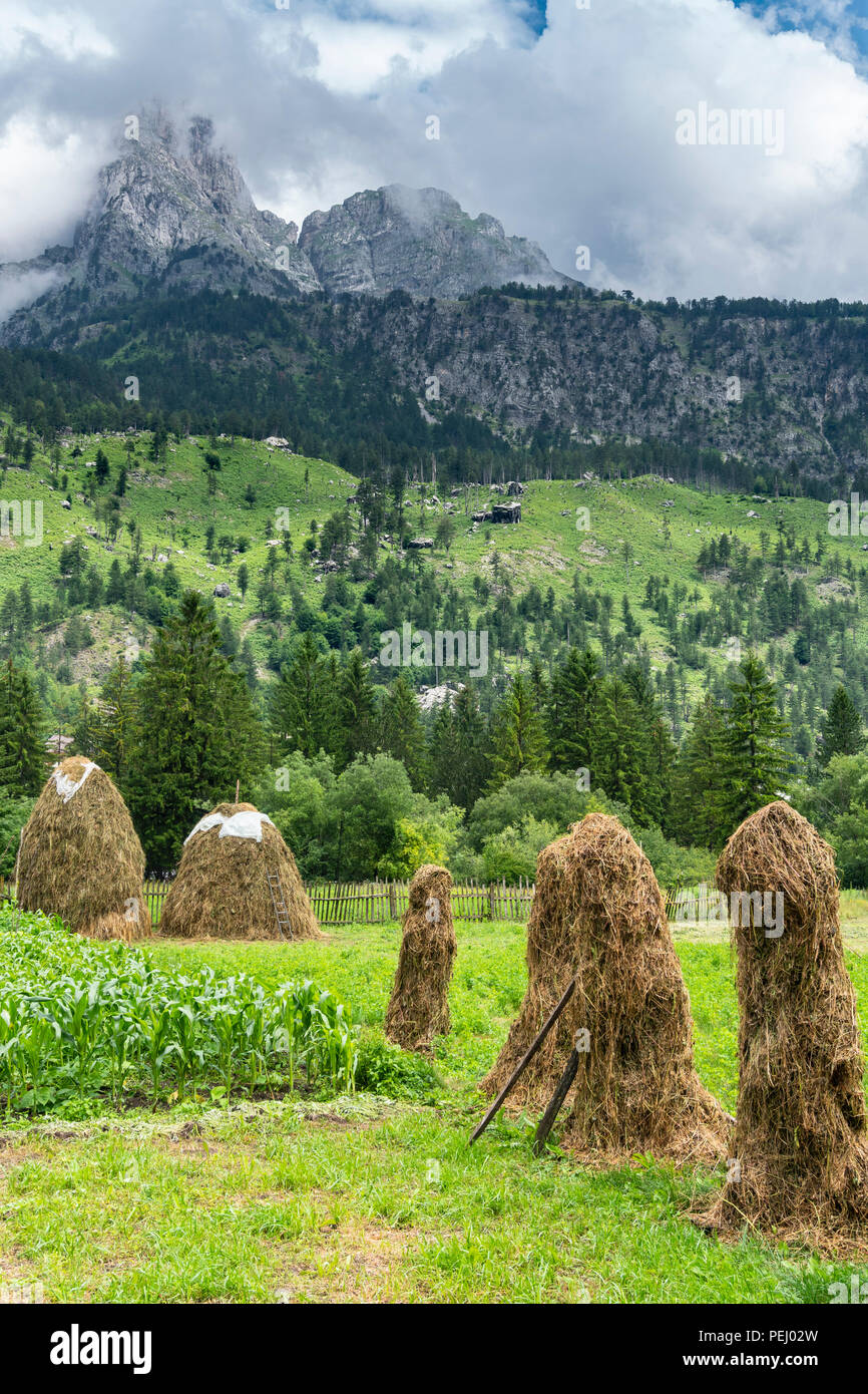Traditionelle Heuballen in der Valbone Valley National Park, im nordöstlichen Albanien, Stockfoto