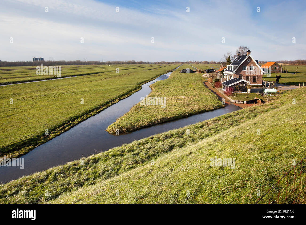 Holländische Polderlandschaft mit einem Bauernhof und einige Häuser in Capelle Aan den IJssel in den Niederlanden Stockfoto