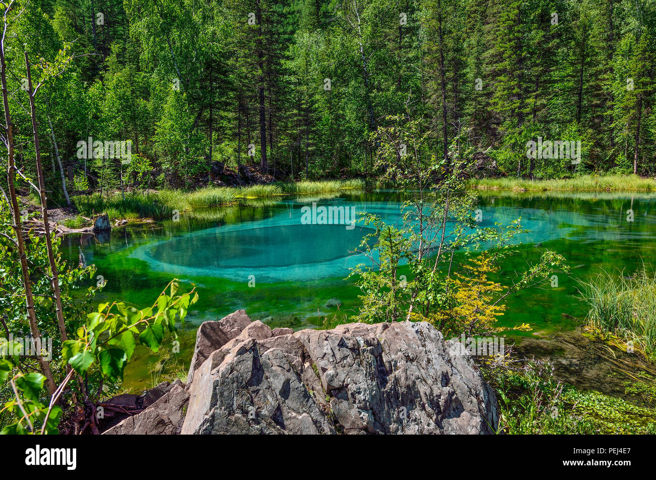 Amazing blue Geysir See in den Bergen des Altai, Russland. Einzigartige türkisfarbenen See mit kristallklarem Wasser und oval kreisenden Scheidungen, die sich ändern werden. Stockfoto