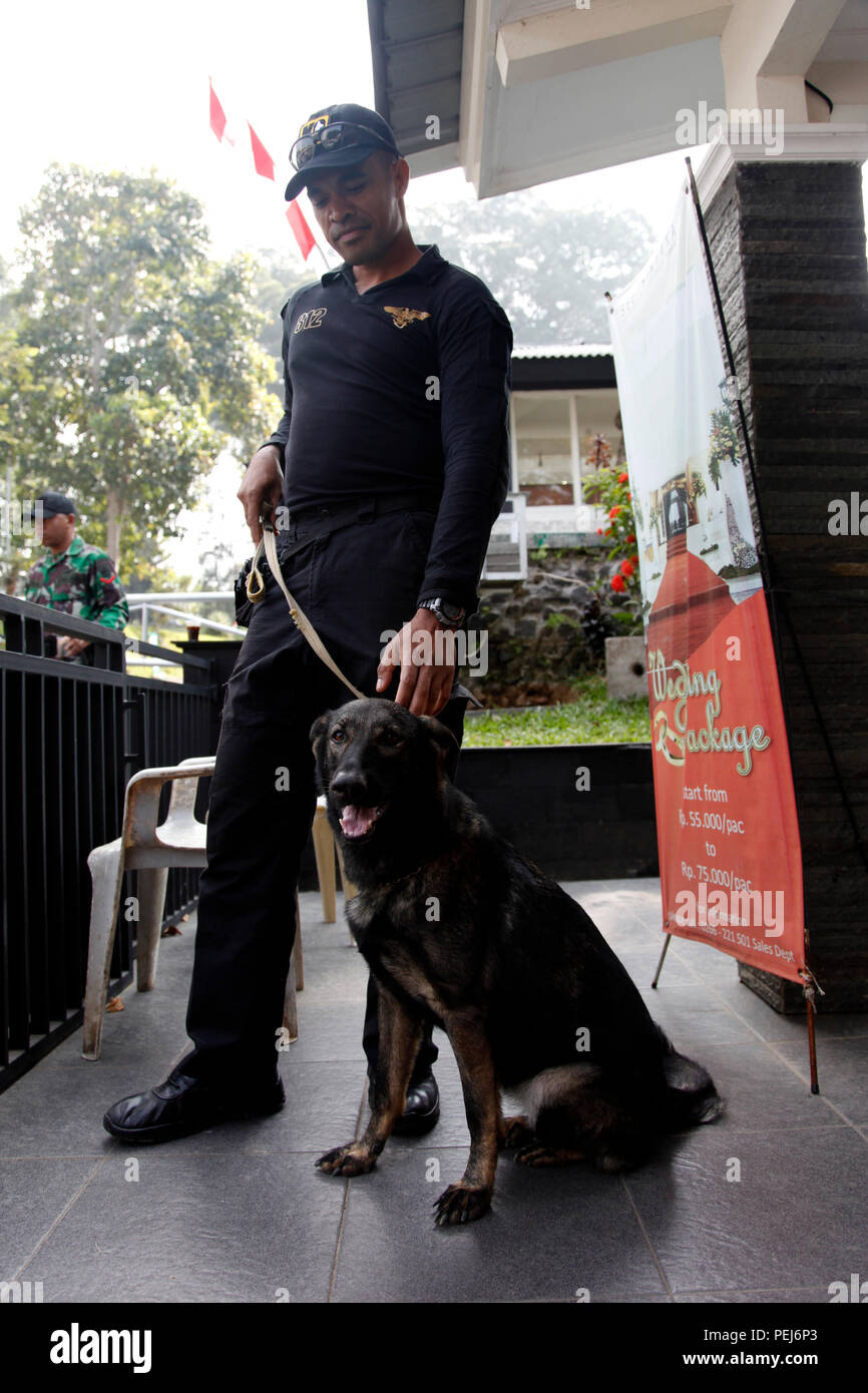 Ein indonesischer Soldat zeigt Zuneigung zu den militärischen Gebrauchshund während der Übung Garuda Schirm am Selabintana Conference Resort in Sukabumi, Indonesien, Nov. 24, 2015. Garuda Shield ist eine regelmäßig geplante bilaterale Übung gefördert von U.S. Army Pacific und bewirtet durch die Tentara Nasional Indonesia (TNI-indonesischen Streitkräfte) konzentrierte sich auf weitere Beziehungen zwischen der US-Armee und die indonesischen Streitkräfte zu verbessern. (U.S. Armee Foto von SPC. Jordan Talbot/Freigegeben) Stockfoto