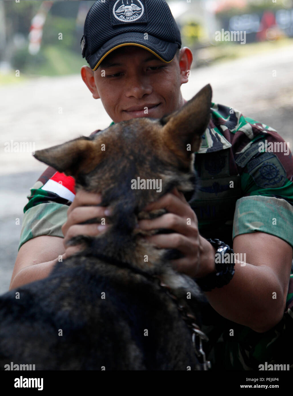 Ein indonesischer Soldat zeigt Zuneigung zu den militärischen Gebrauchshund während der Übung Garuda Schirm am Selabintana Conference Resort in Sukabumi, Indonesien, Nov. 24, 2015. Garuda Shield ist eine regelmäßig geplante bilaterale Übung gefördert von U.S. Army Pacific und bewirtet durch die Tentara Nasional Indonesia (TNI-indonesischen Streitkräfte) konzentrierte sich auf weitere Beziehungen zwischen der US-Armee und die indonesischen Streitkräfte zu verbessern. (U.S. Armee Foto von SPC. Jordan Talbot/Freigegeben) Stockfoto