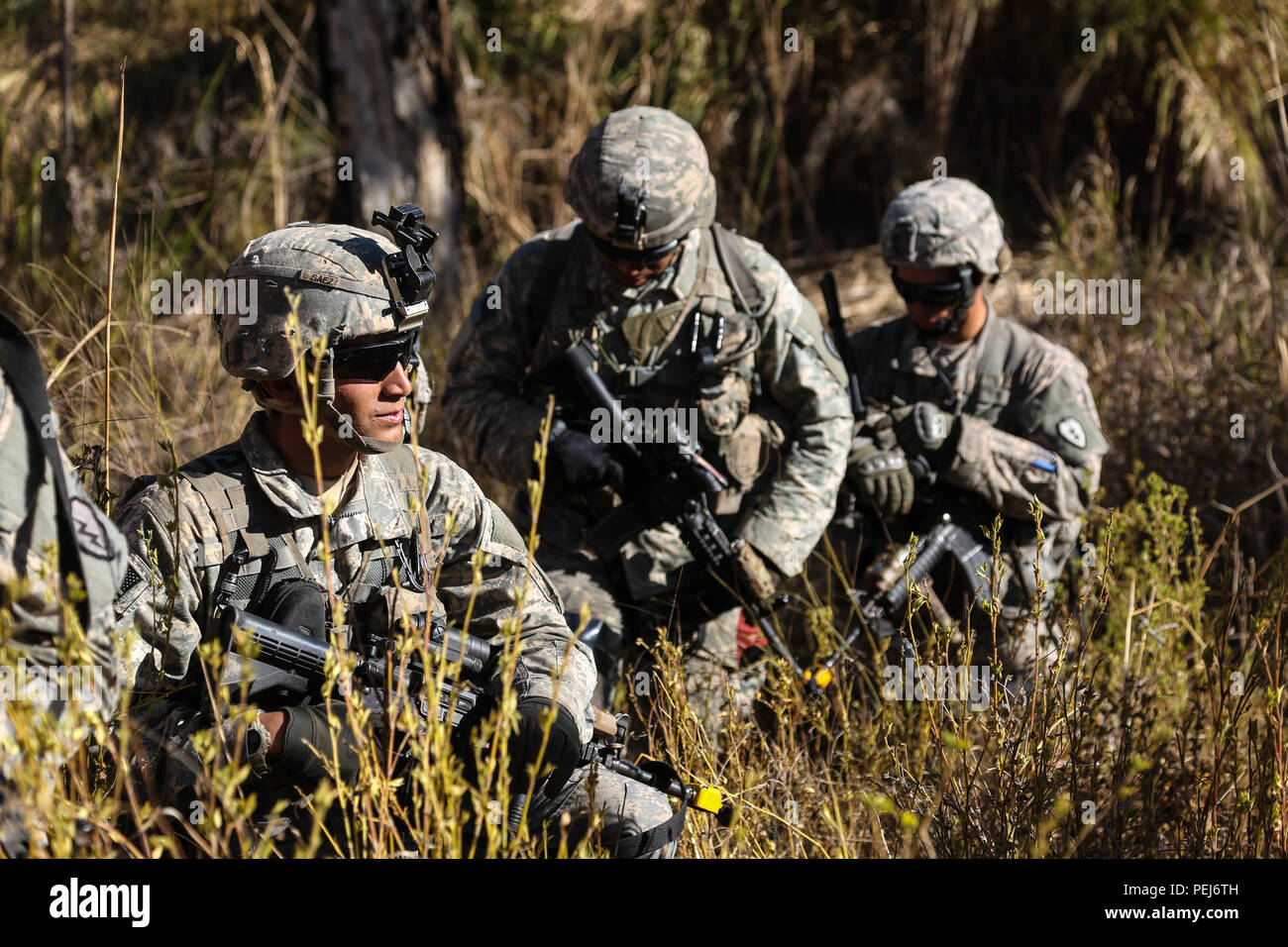 Us-Soldaten aus Bravo Company, 2-27 th Bataillon, 25 Infanterie Division, Patrol, die Wälder, die während der übung Pacific Pathways in Townsville, Queensland, Australien, August 7, 2015. Pacific Wege gibt Soldaten die Möglichkeit zu trainieren und Beziehungen mit ausländischen Nationen bauen. (U.S. Armee Foto von SPC. Jordan Talbot/Freigegeben) Stockfoto