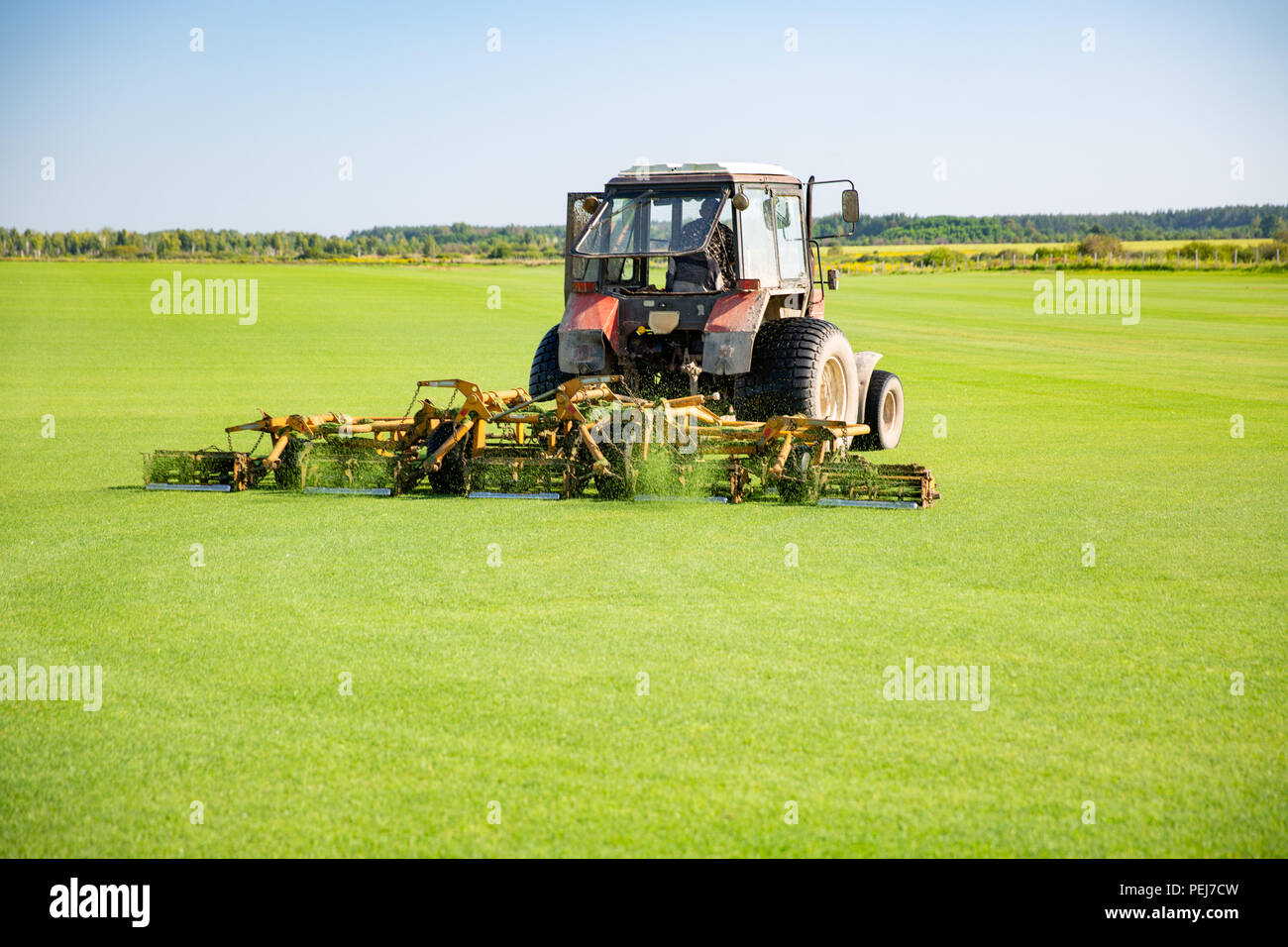 Traktor mit einer Düse zur Pflege ein Feld Rasen für ein Pferd Polo in Arbeit. Die cut-off-Gras zieht aus mechanischen Teile einer Düse. Grüne, flache fie Stockfoto