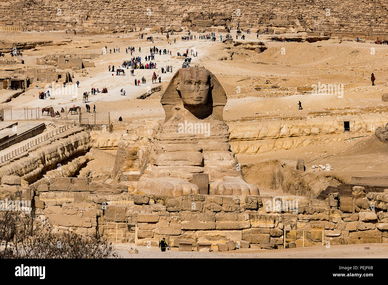 Die Große Sphinx auf der Basis der Großen Pyramiden auf dem Plateau von Gizeh, Kairo, Ägypten. Stockfoto