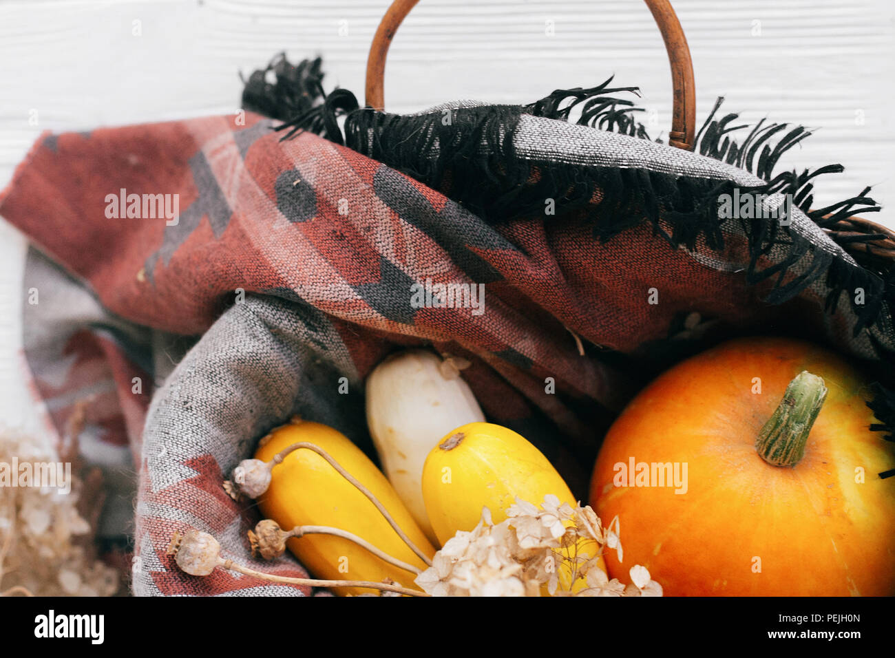 Kürbis und Zucchini in Weidenkorb auf weißem Holz- Hintergrund. Happy Thanksgiving und Halloween. Ernte und hallo Herbst Konzept. rustikale Bild Stockfoto
