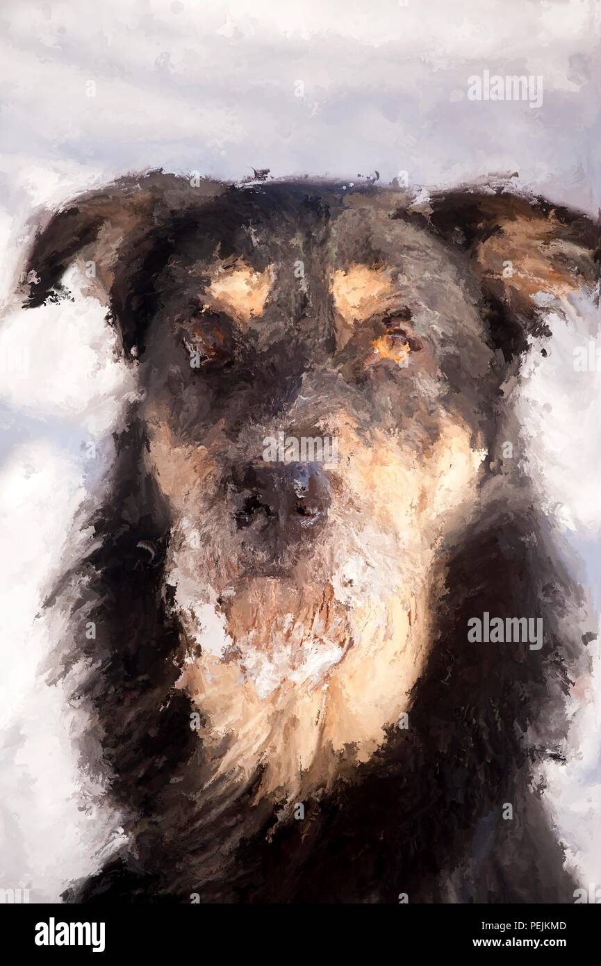 Digitale Malerei von bärtigen Hund im Winter Stockfoto
