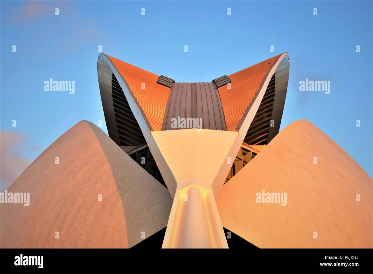 Valencia Kunst und Science Center des Architekten Santiago Calatrava ist ein Meisterwerk der Kunst und moderne Architektur, die beliebteste Touristenattraktion. Stockfoto
