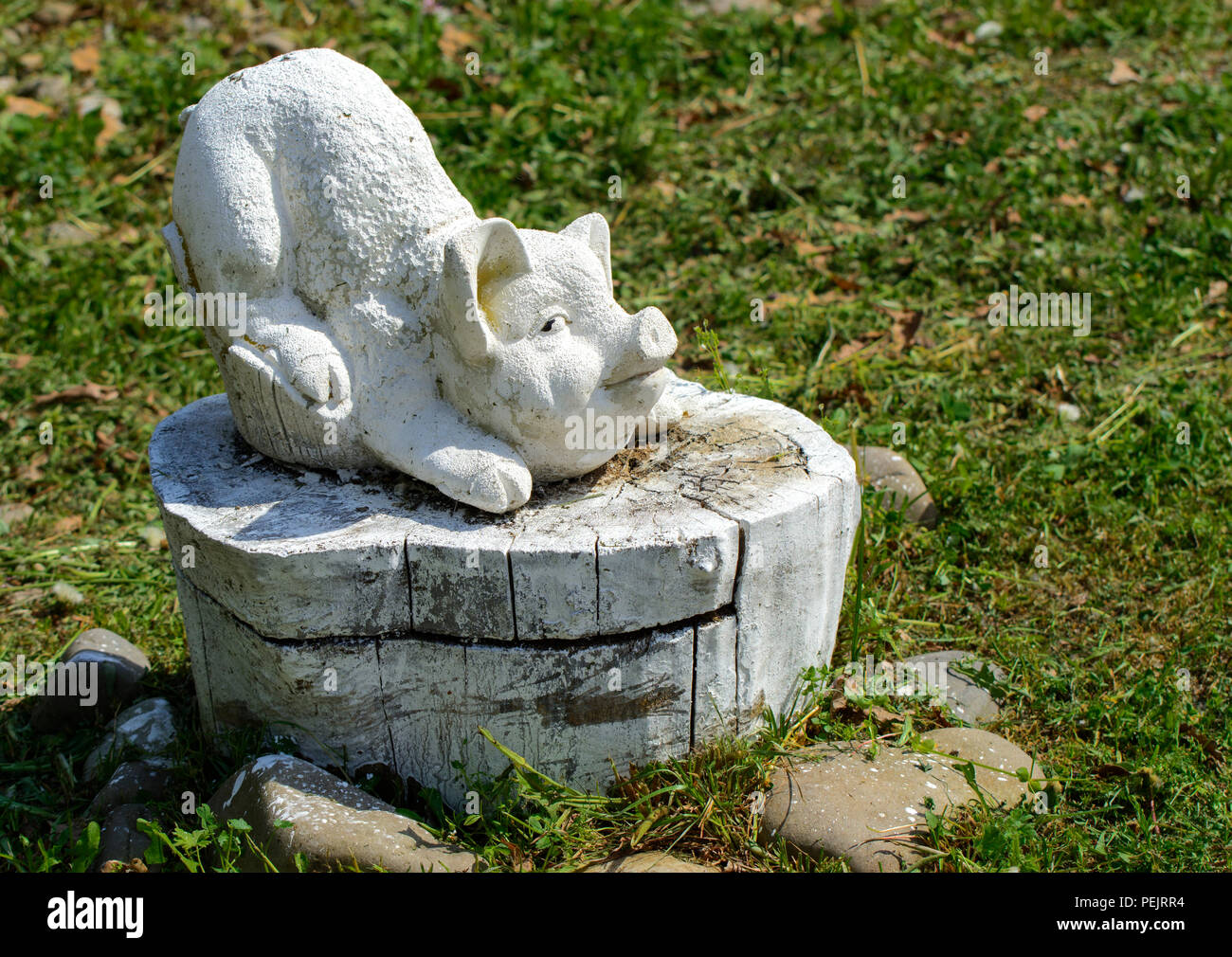 Eine Statue von einem Schwein aus Stein steht auf einem Baumstumpf Holz weiß lackiert und umgeben mit Steine in einem Kreis vor dem hintergrund der grünen Gras. Stockfoto