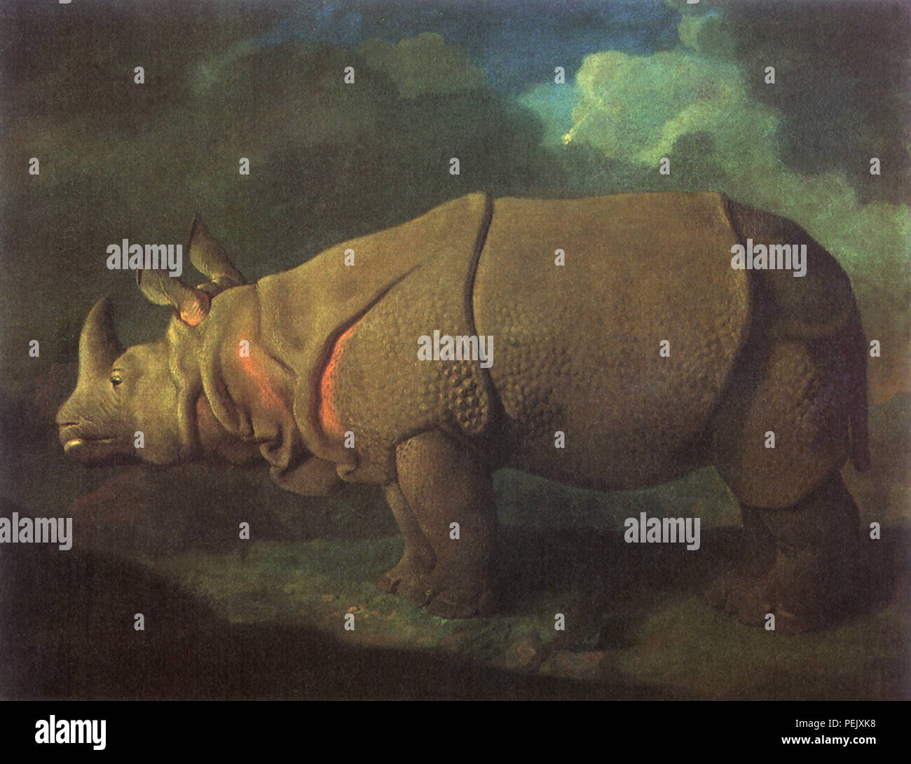 Rhinoceros, Stubbs, George Stockfoto