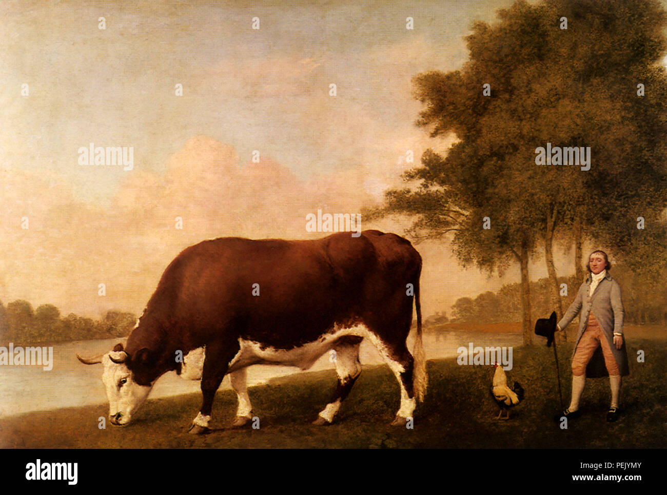 Lincolnshire Ox, Stubbs, George Stockfoto