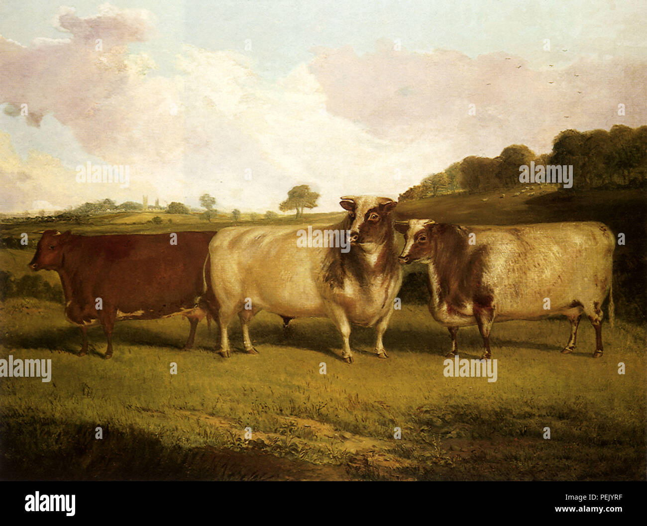 Vieh hört, Zug, Whitford, Richard Stockfoto