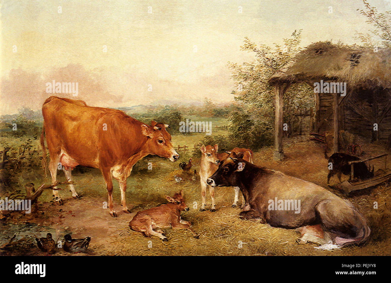 Jersey Vieh, Holt, Edwin Frederick Stockfoto