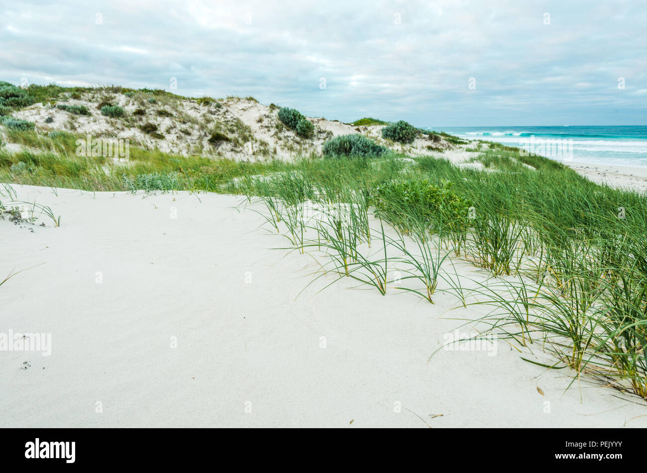 Dunen Mit Gras Und Den Strand In Der Nahe Von Lancelin Perth Western Australia Wa Stockfotografie Alamy