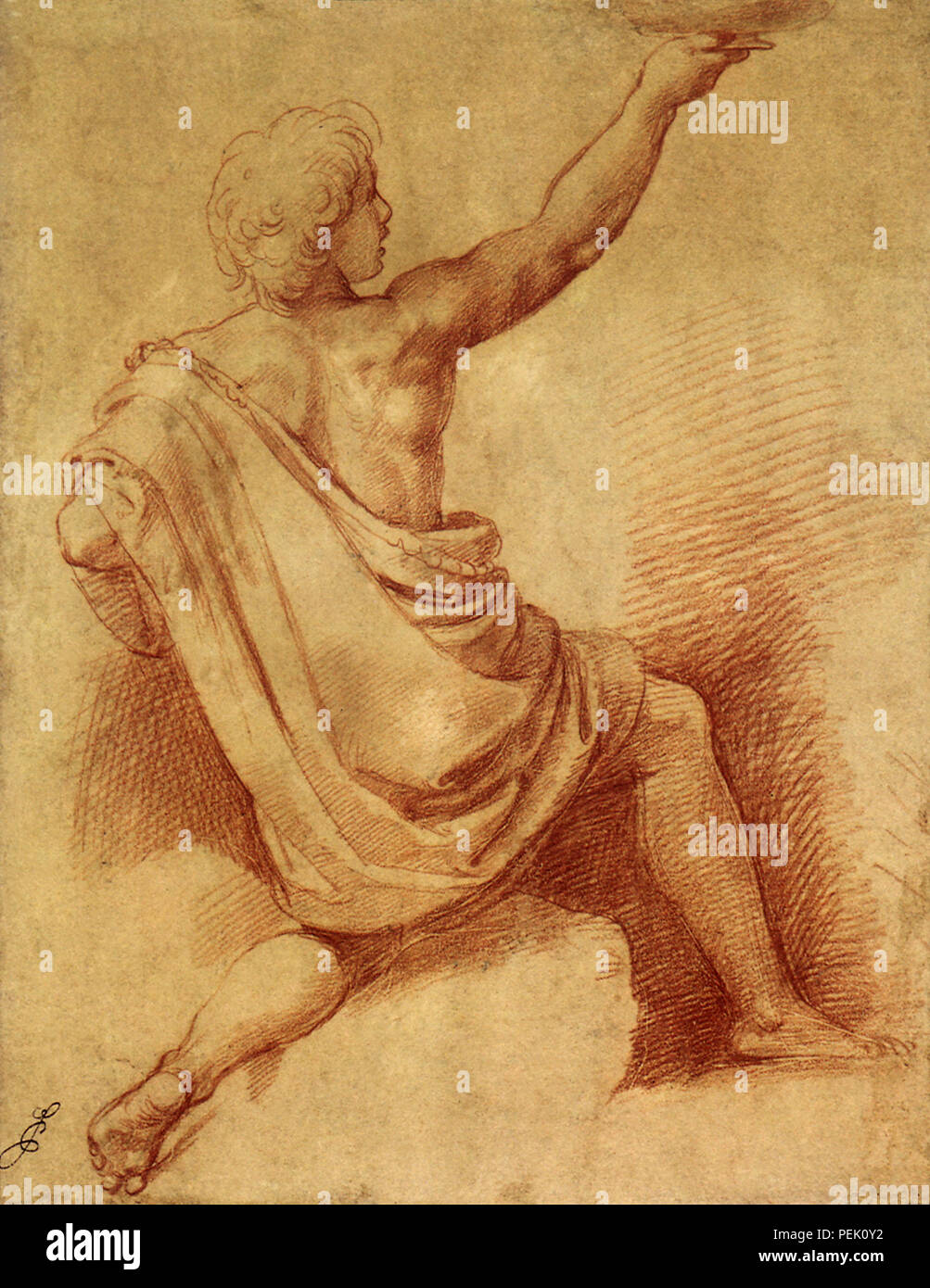 Junger Mann mit Schale, Raphael, Raffaello S. Stockfoto