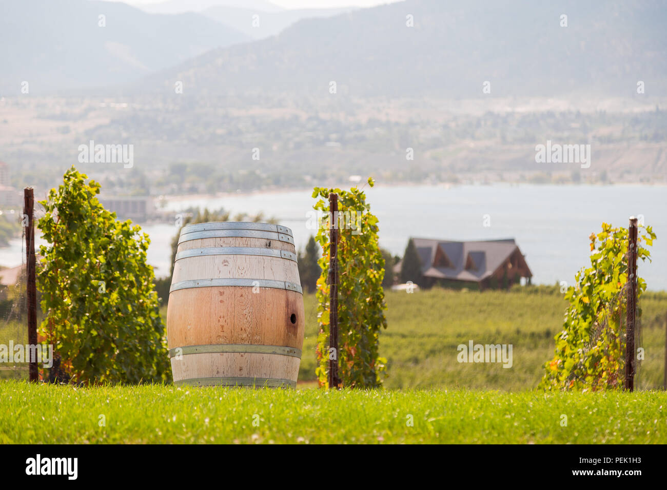 Wein Faß auf einen Weinberg mit Blick auf das Okaganan See. Stockfoto
