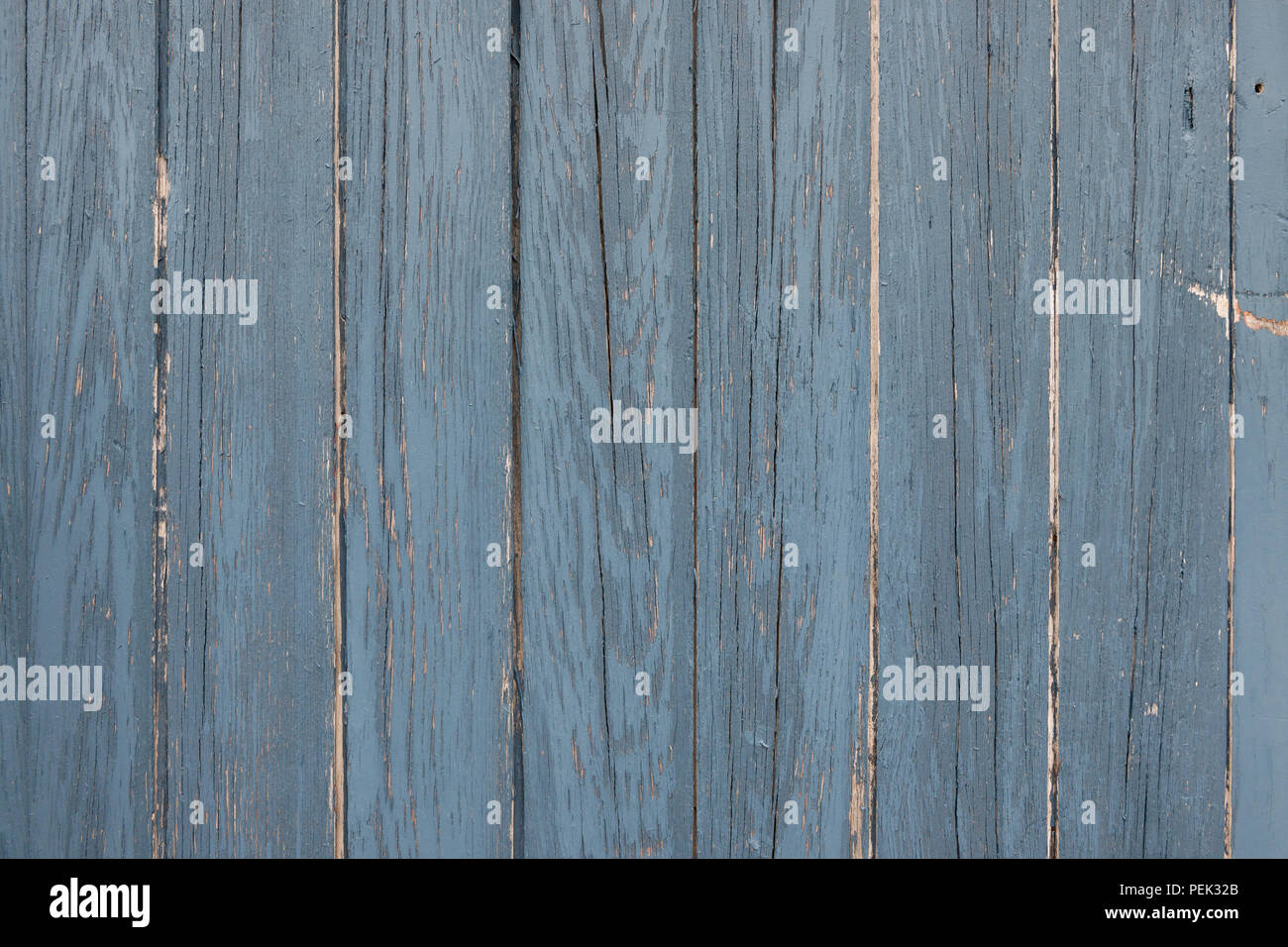 Im Hintergrund der verwitterte Holzbretter mit Holz Textur blau lackiert Stockfoto