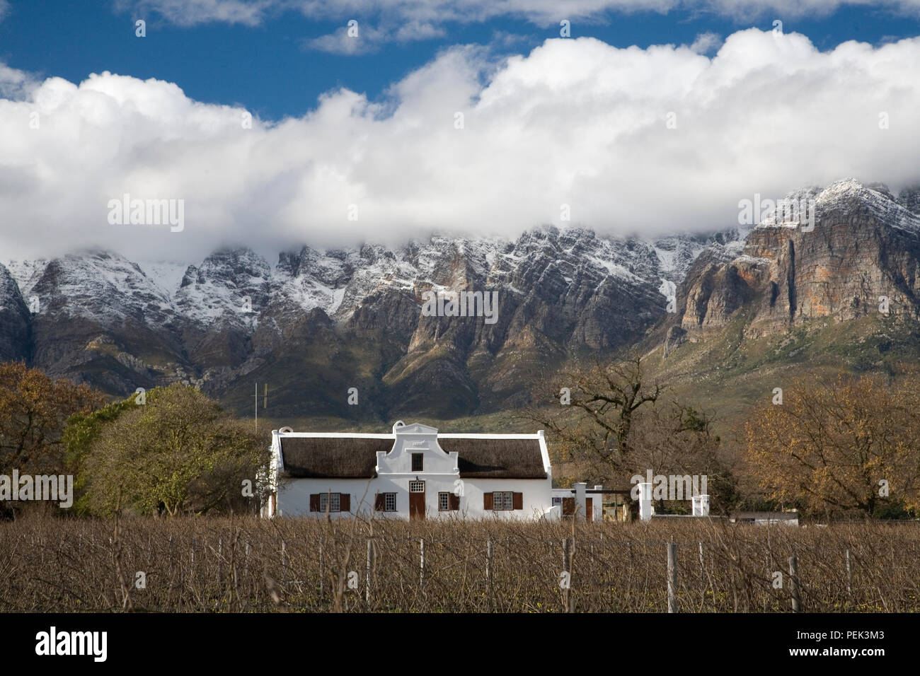 Cape Dutch Farm Homestead Stockfoto