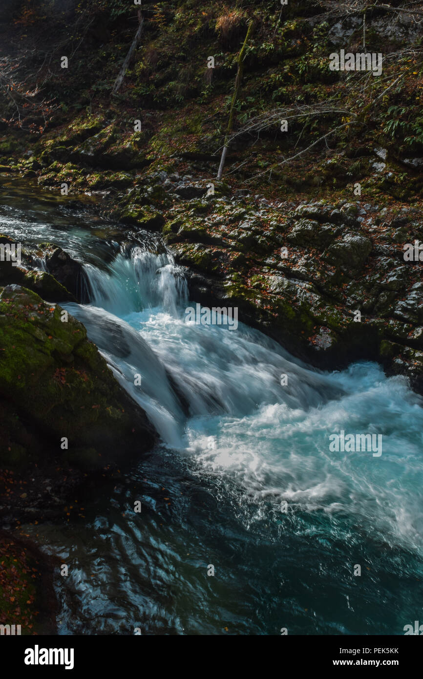 Schlucht Vintgar Stockfoto