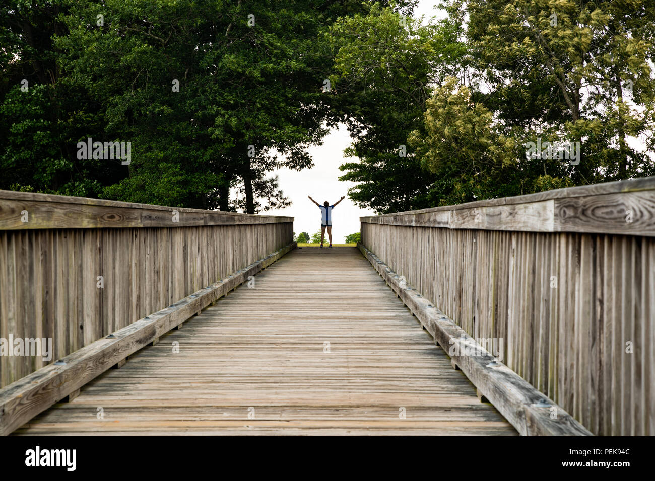 Ein kleines Mädchen erreicht das Ende der langen Brücke und feiert in einer Lücke, die durch die Bäume mit Hintergrundbeleuchtung Stockfoto