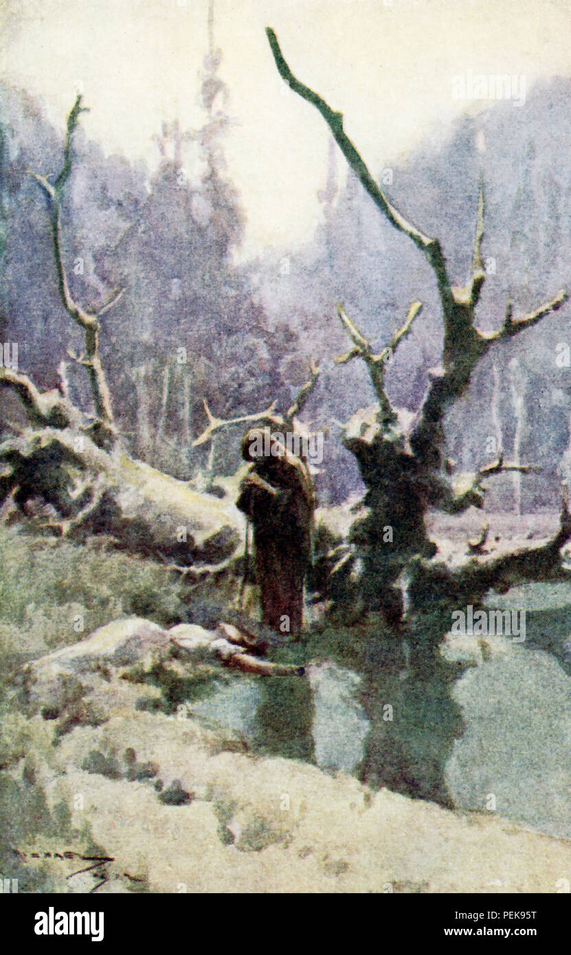 Diese Abbildung stammt aus dem Jahre 1900 und zeigt eine Hexe und eine Dame in den Wäldern. Die Szene ist von Nathaniel Hawthorne's Twice-Told Tales und die Geschichte ist die Vertiefung der drei Hügel. Die Bildunterschrift lautet: Wenn die alte Frau die kniende Dame nicht gerührt, sie hob ihren Kopf. "Hier hat sich eine süße Stunde Spot wurde", heißt es in der dürren Crone, kichernd zu sich. Stockfoto