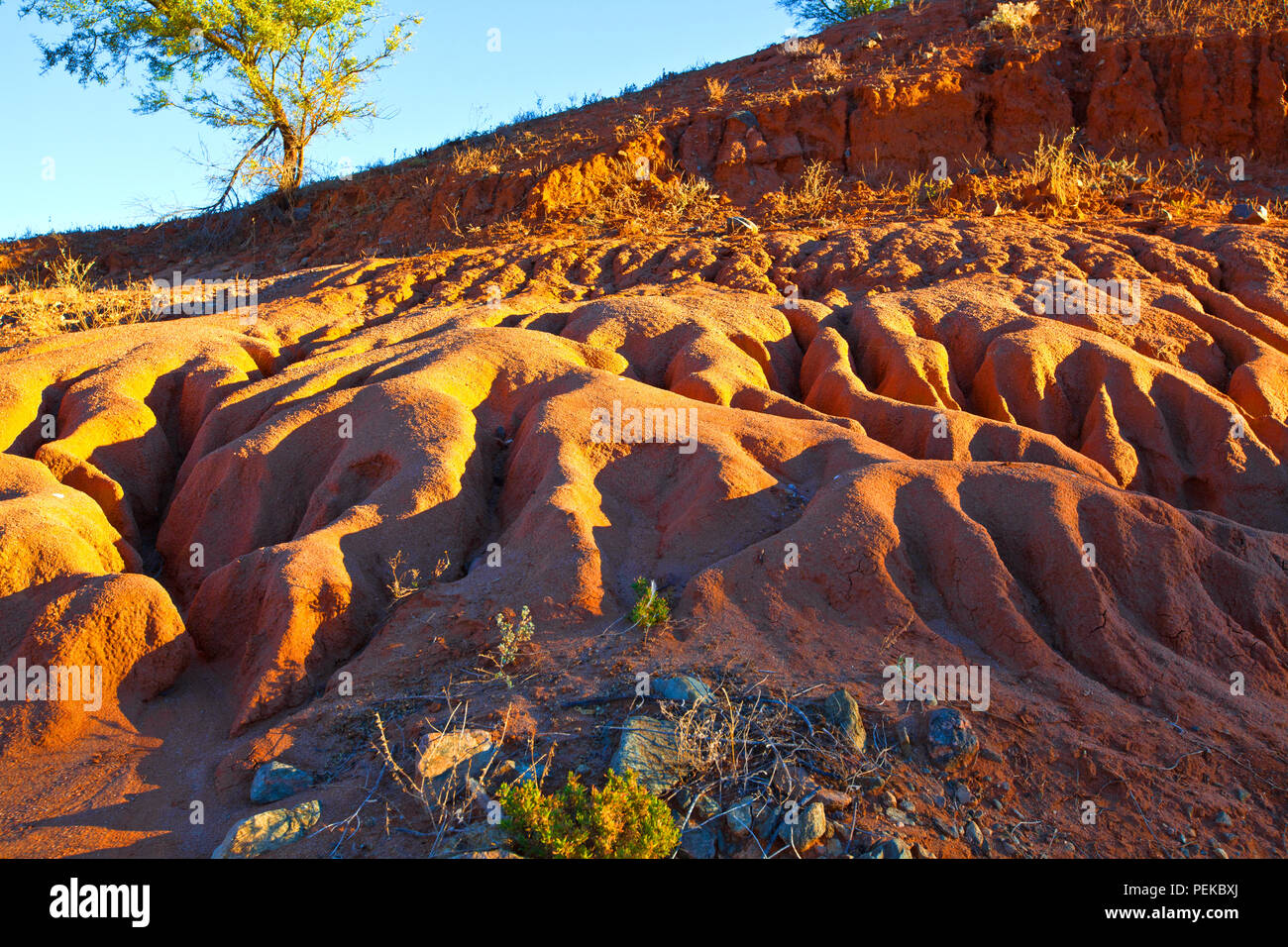 Bild genommen, während für einen Familienurlaub in den regionalen outback Stadt Broken Hill in New South Wales, Australien Stockfoto