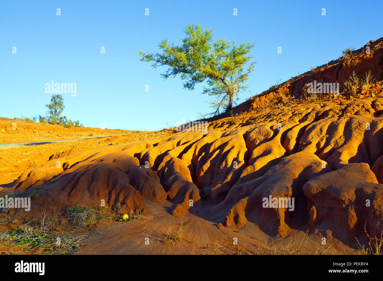 Bild genommen, während für einen Familienurlaub in den regionalen outback Stadt Broken Hill in New South Wales, Australien Stockfoto