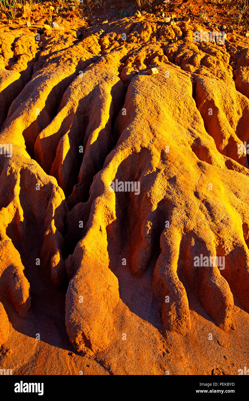 Bild genommen, während für einen Familienurlaub in den regionalen outback Stadt Broken Hill in New South Wales, Australien Stockfoto