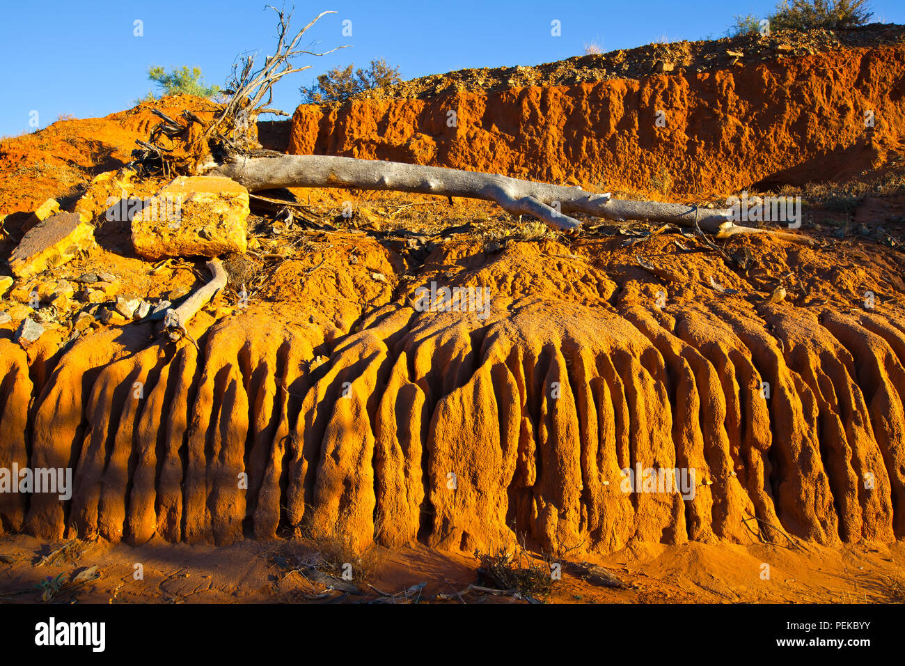 Bild genommen, während für einen Familienurlaub in den regionalen outback Stadt Broken Hill in New South Wales, Australien Stockfoto