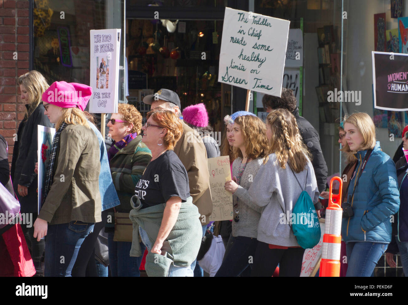 Asheville, NC USA - Januar 20, 2018: Die Zeichen, die der Frauen 2018 März warnen die GOP ihr Ende nahe ist und Kleinkind Trump braucht Grenzen auf dem Bildschirm Zeit Stockfoto