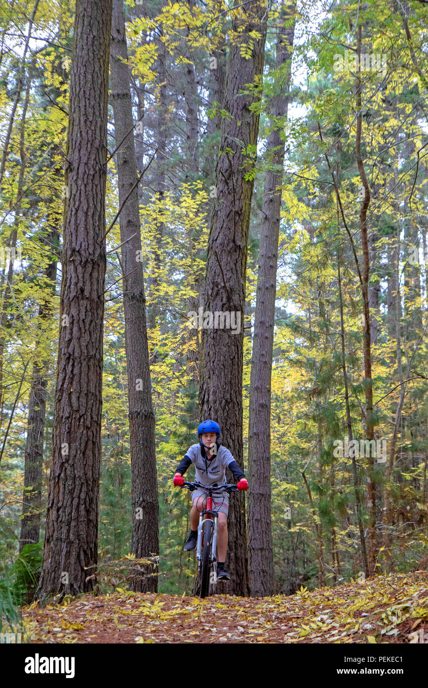 Mountainbiken auf hollybank Forest Reserve Stockfoto
