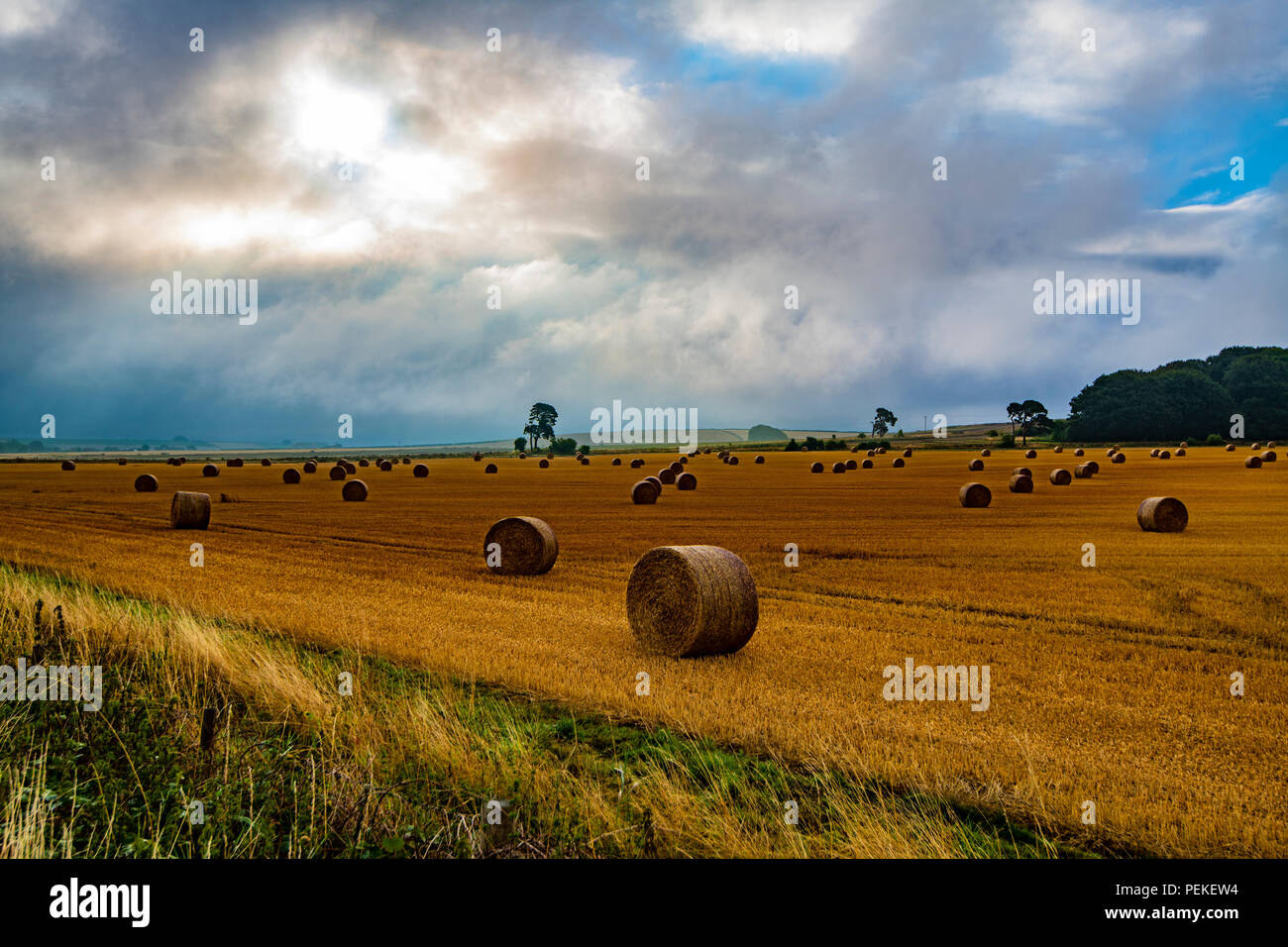 Dämmerung über der alten Kulturlandschaft in der Nähe von Avebury in Wiltshire, England als die Ernte ist gesammelt. Stockfoto