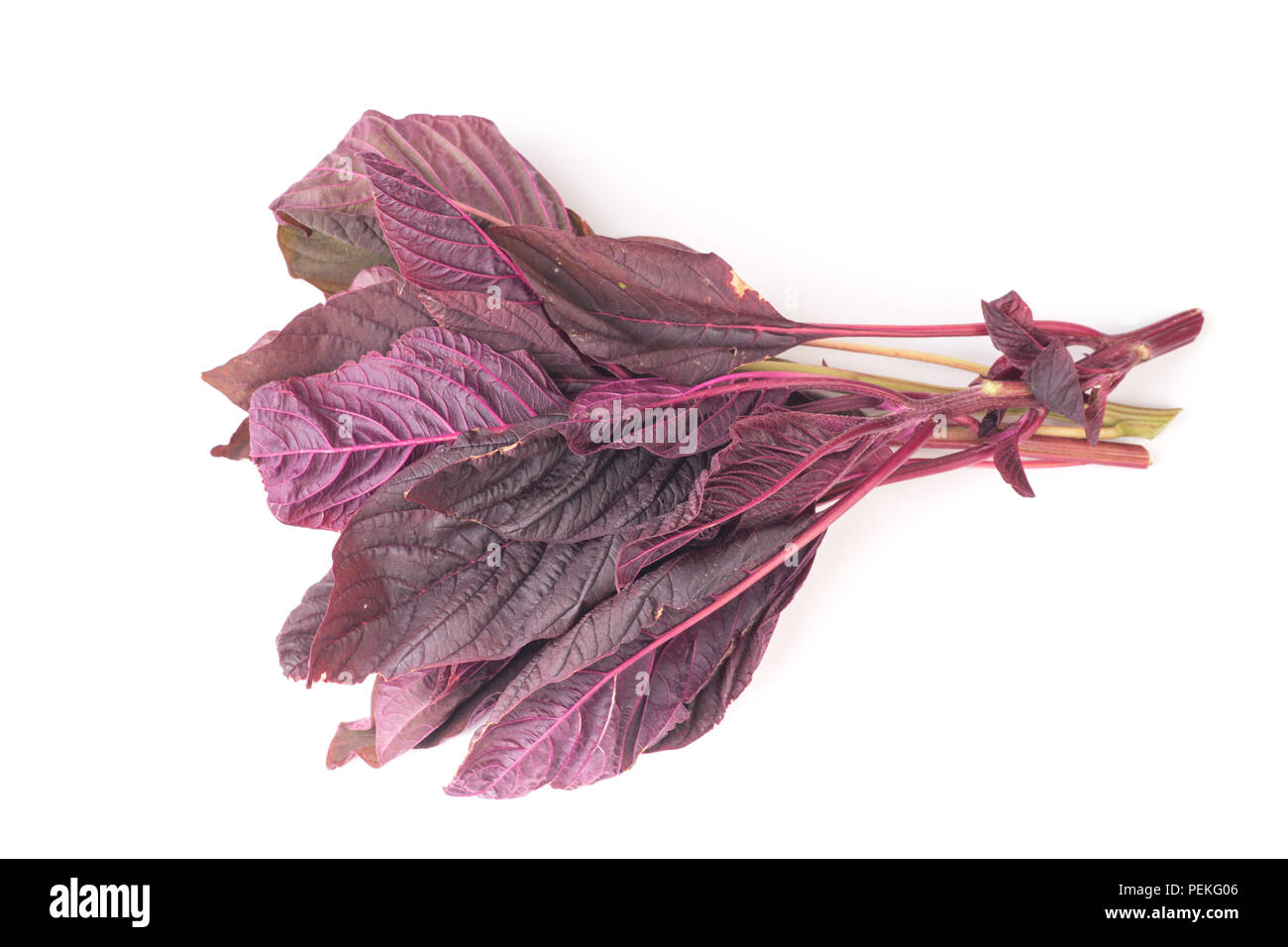 Bio Amaranth Salatblättern, auf weißem Hintergrund Stockfoto