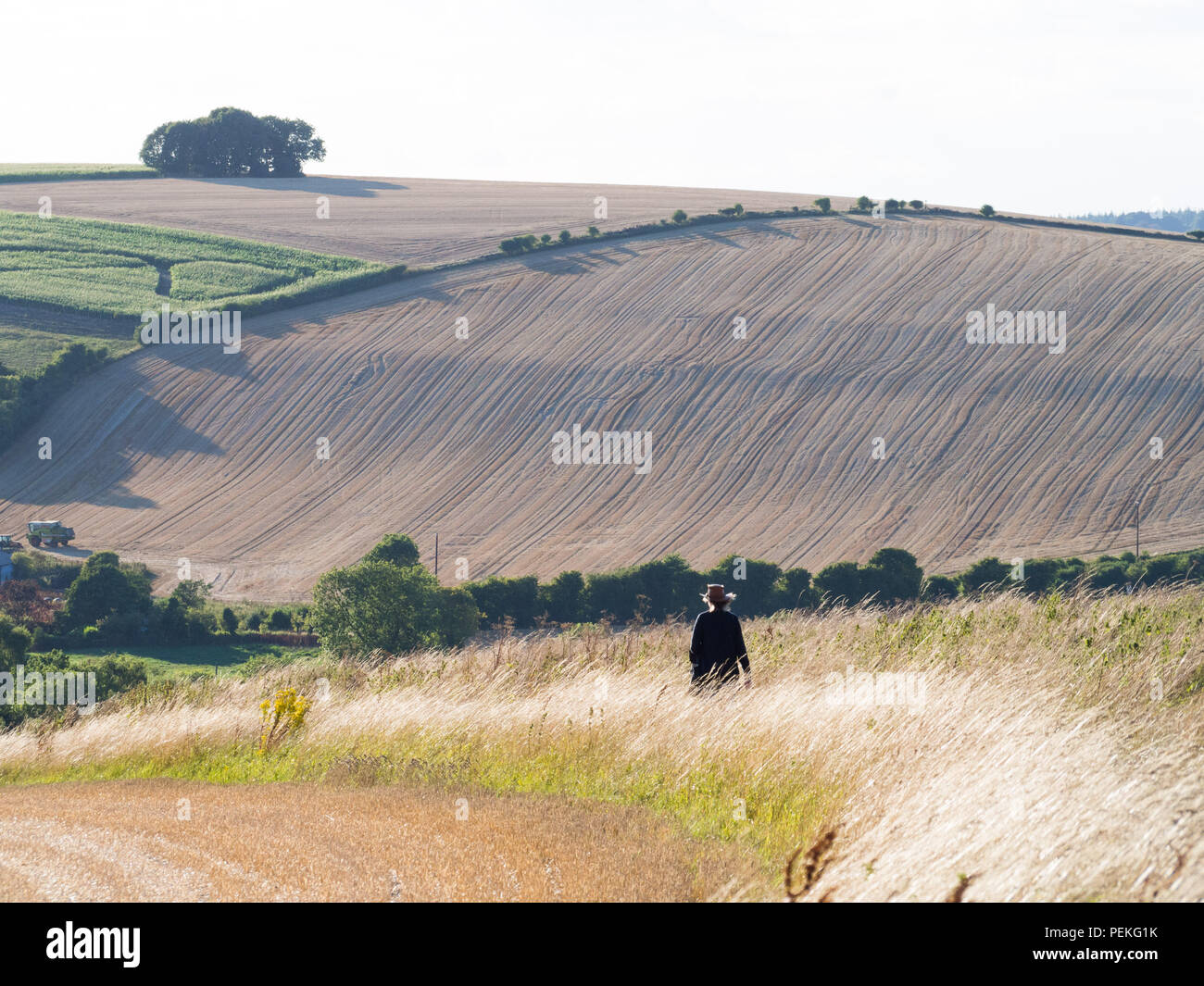 Aufwachen in der englischen Landschaft an einem spätsommerabend Stockfoto