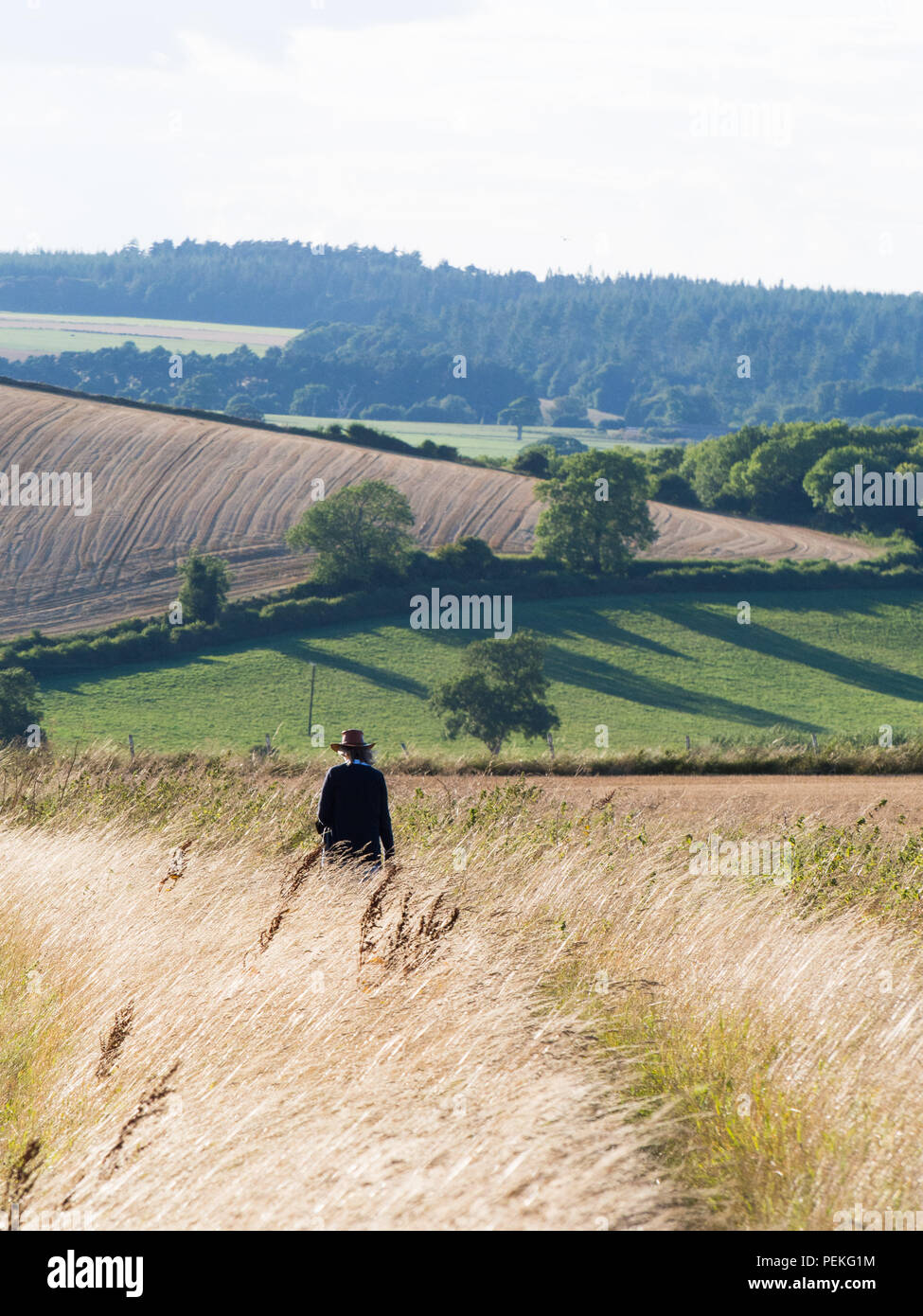 Aufwachen in der englischen Landschaft an einem spätsommerabend Stockfoto