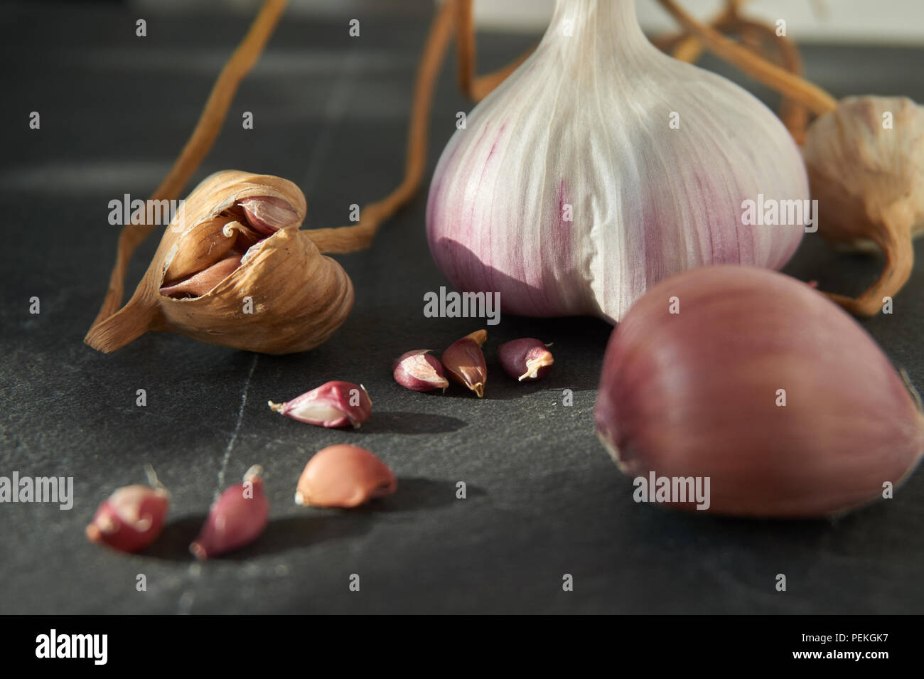 Knoblauch Zwiebeln Nelken und bulbil auf dunklem Stein, wachsende Knoblauch aus Nelken oder bulbillen Konzept Stockfoto