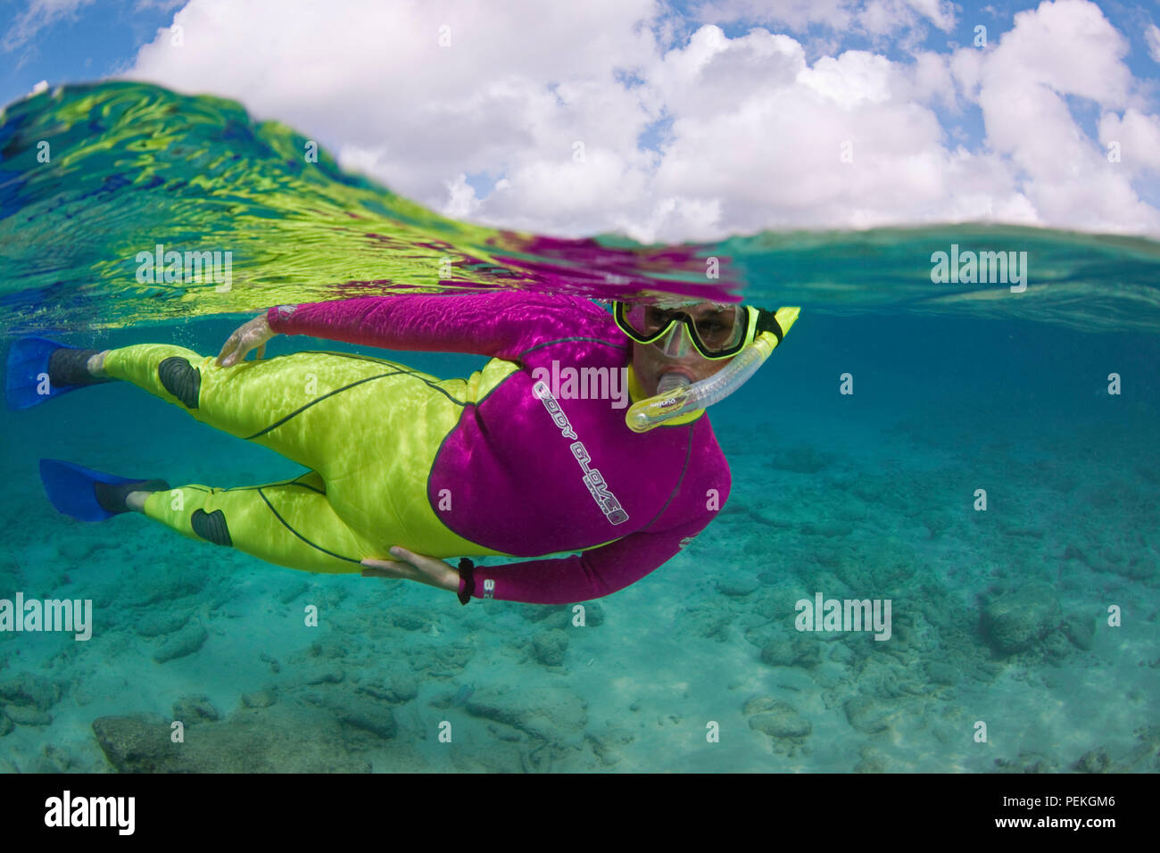 Eine Hälfte über die Hälfte unter Szene eines weiblichen Schnorchler (MR) Freie Tauchen vor der Insel Bonaire, Niederländische Antillen, Karibik. Stockfoto