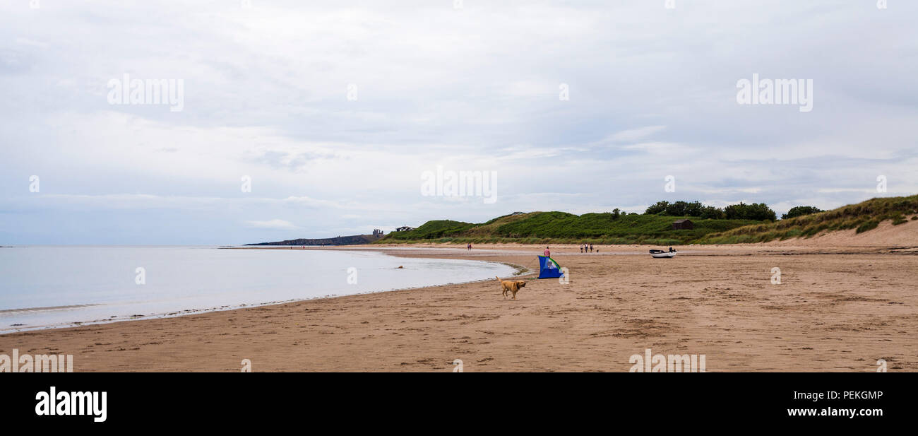 Niedrige Newton am Meer, Northumberland, England, Großbritannien Stockfoto