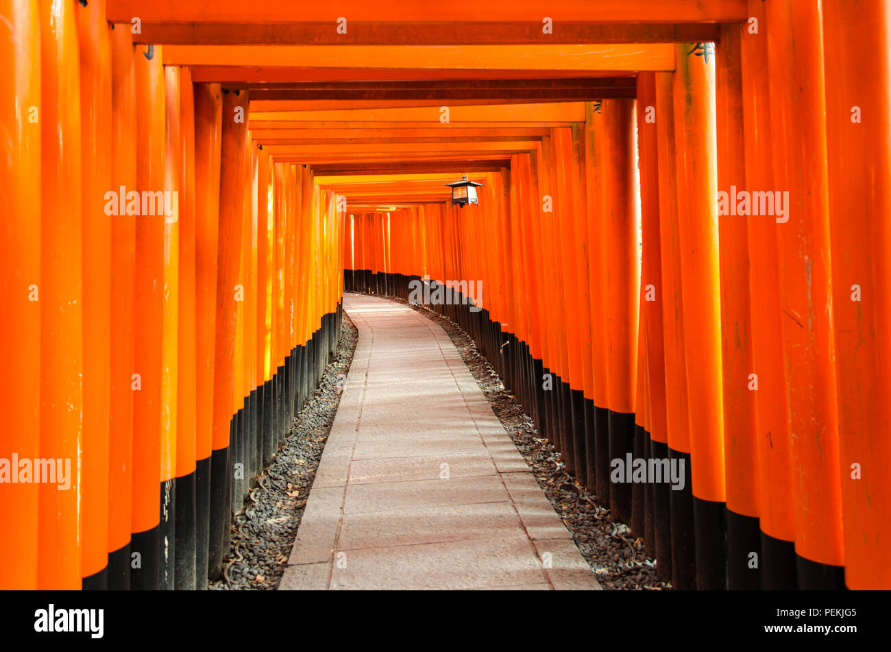 Fushimi Inari-Taisha Shrine tori Tore in Kyoto, Japan. Berühmte traditionelle japanische Schrein Stockfoto