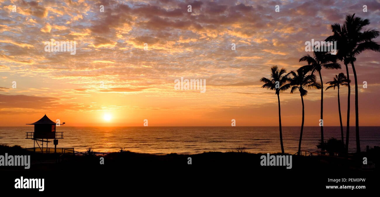 Schönen tropischen Strand Sonnenaufgang mit Palmen und Bademeister Turm an der Gold Coast, einem beliebten Reiseziel in Queensland, Australien Stockfoto