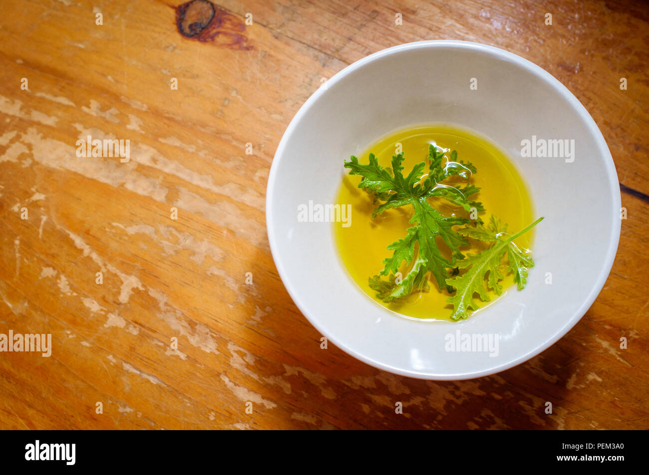 Pelargonium Citrosum Stockfotos & Pelargonium Citrosum Bilder - Alamy