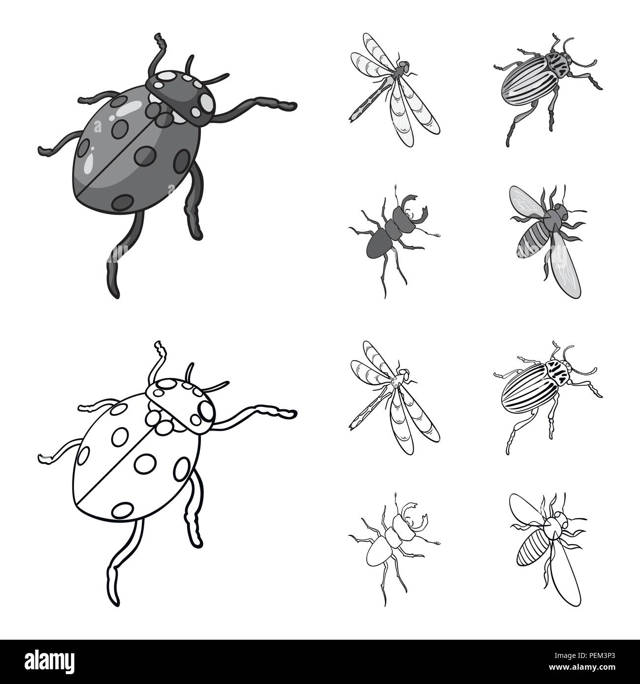 Gliederfusser Insekten Marienkafer Libelle Kafer Colorado Kafer Insekten Set Sammlung Symbole In Der Gliederungsansicht Schwarzweiss Stil Vektor Symbol Lieferbar Isometrische Stock Vektorgrafik Alamy